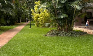 São Carlos - Asa Norte - 302, Bl. I